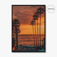 La Jolla Fine Art Photo Print, Windansea Beach, Palm Trees, San Diego California Poster
