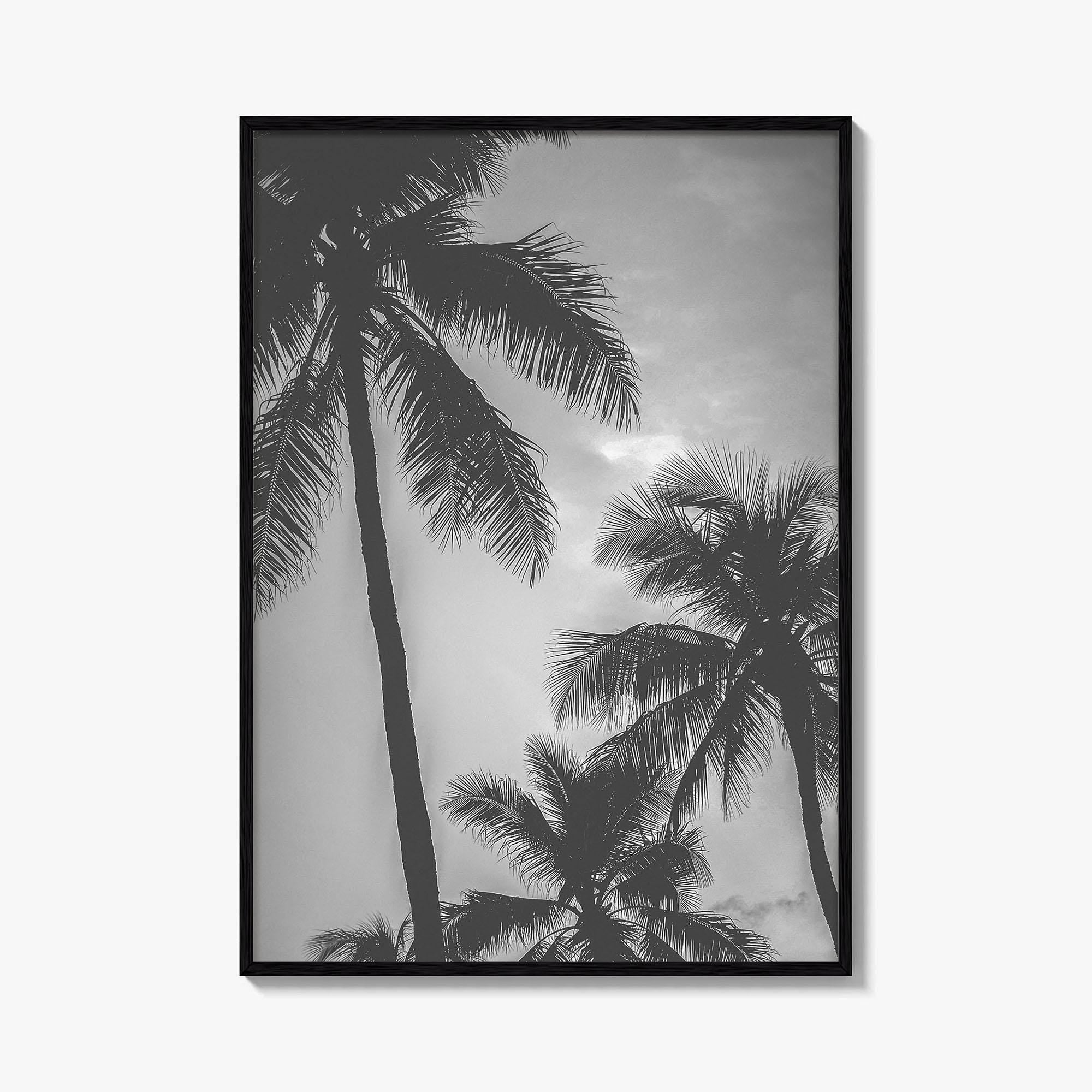 Hawaii Black and White Fine Art Photo Print, Palm Trees, Honolulu Oahu Art