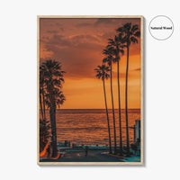 La Jolla Fine Art Photo Print, Windansea Beach, Palm Trees, San Diego California Poster