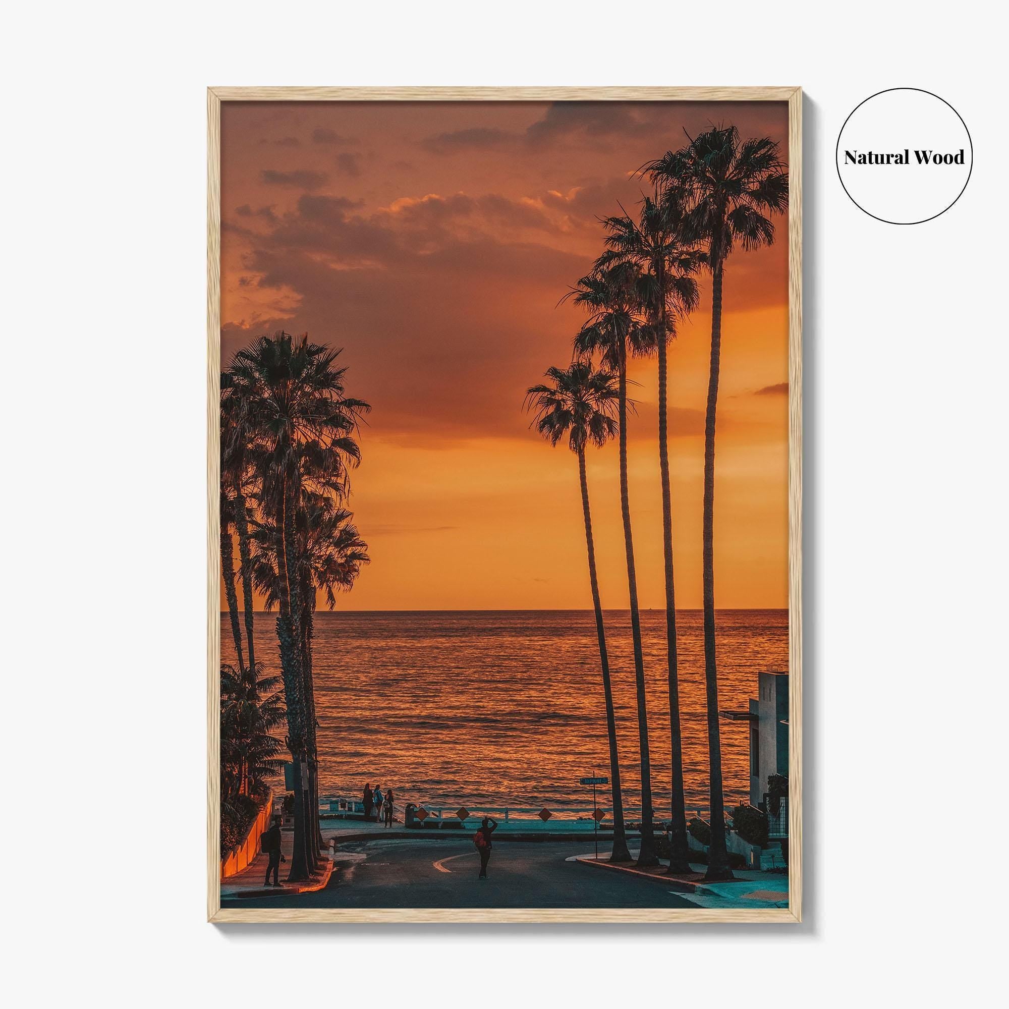 La Jolla Fine Art Photo Print, Windansea Beach, Palm Trees, San Diego California Poster