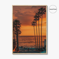 La Jolla Fine Art Photo Print, Windansea Beach, Palm Trees, San Diego California Poster