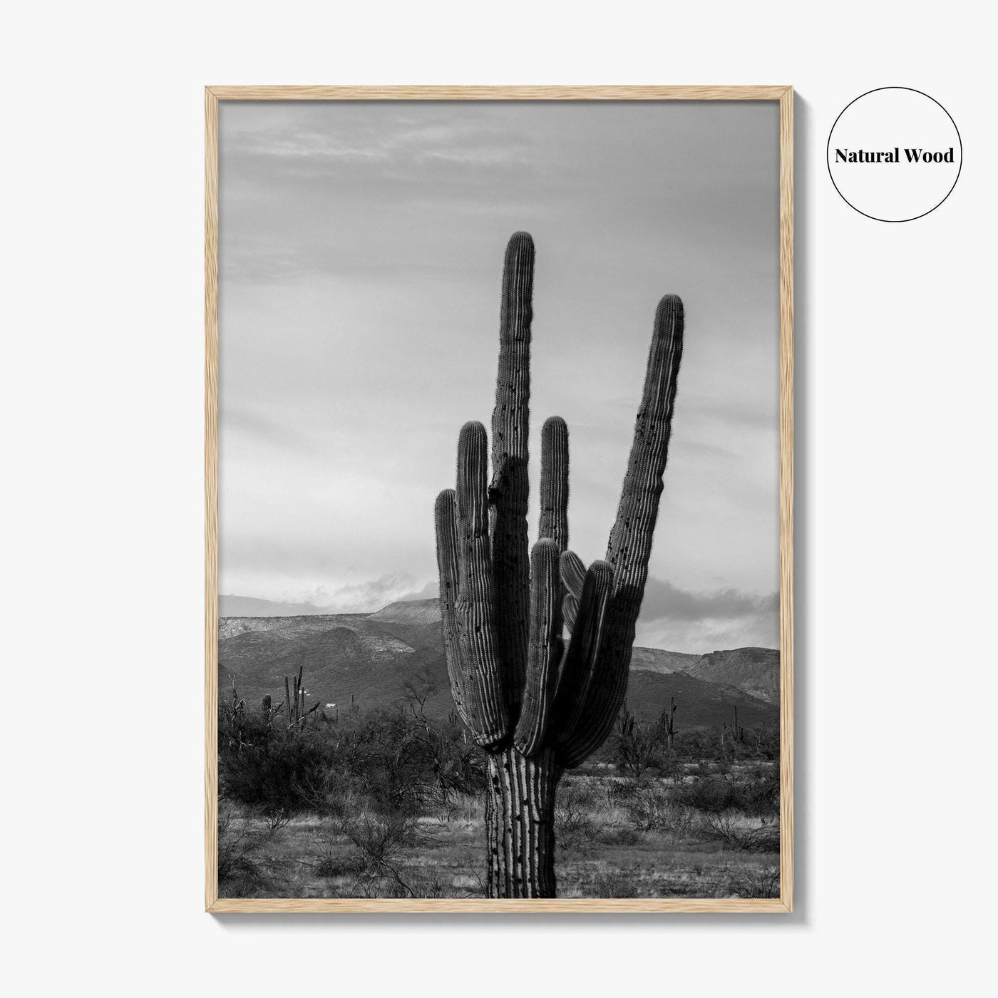 Phoenix Black and White Fine Art Photo Print, Arizona Saguaro Cactus Mountains, USA Poster