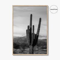 Phoenix Black and White Fine Art Photo Print, Arizona Saguaro Cactus Mountains, USA Poster