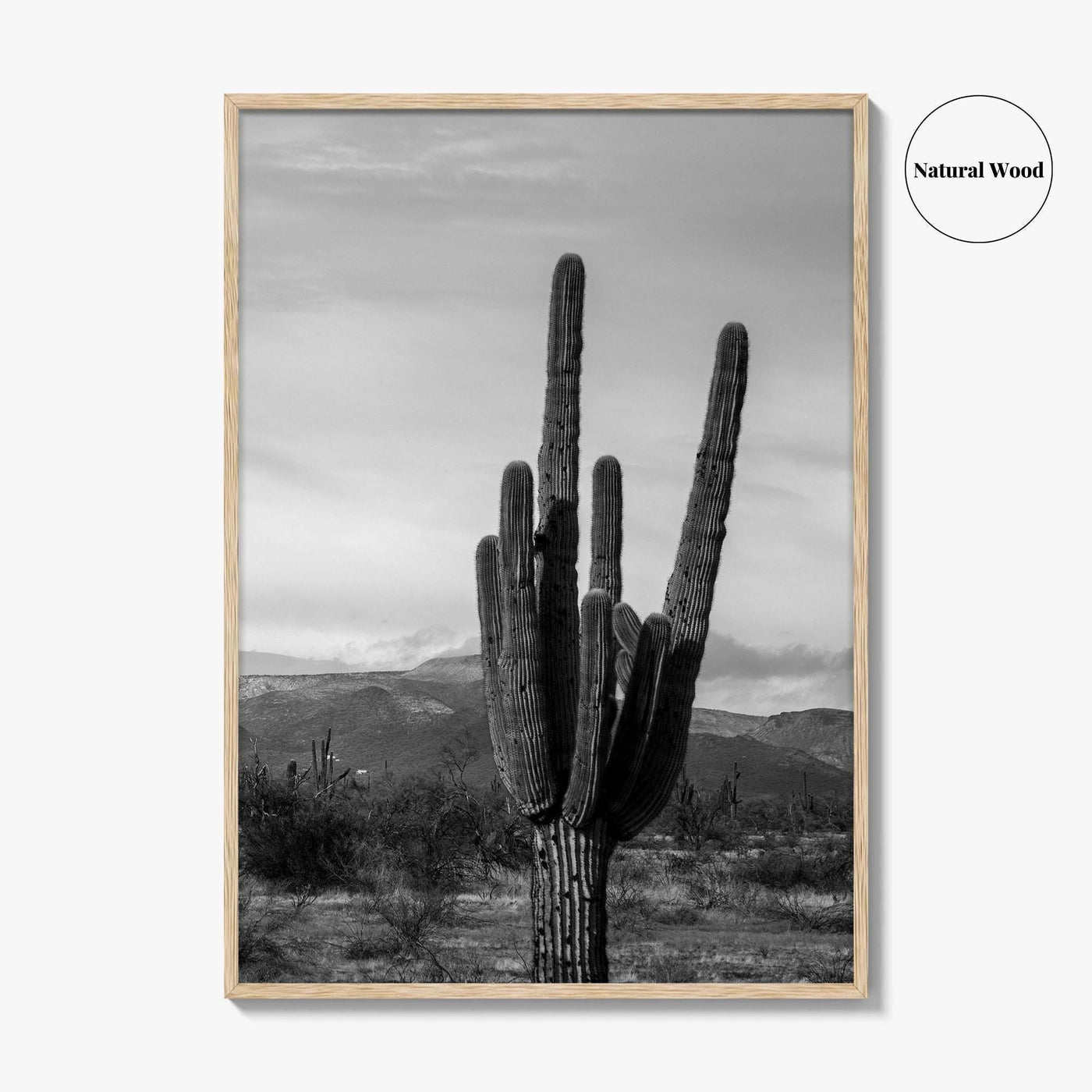 Phoenix Black and White Fine Art Photo Print, Arizona Saguaro Cactus Mountains, USA Poster