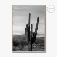 Phoenix Black and White Fine Art Photo Print, Arizona Saguaro Cactus Mountains, USA Poster