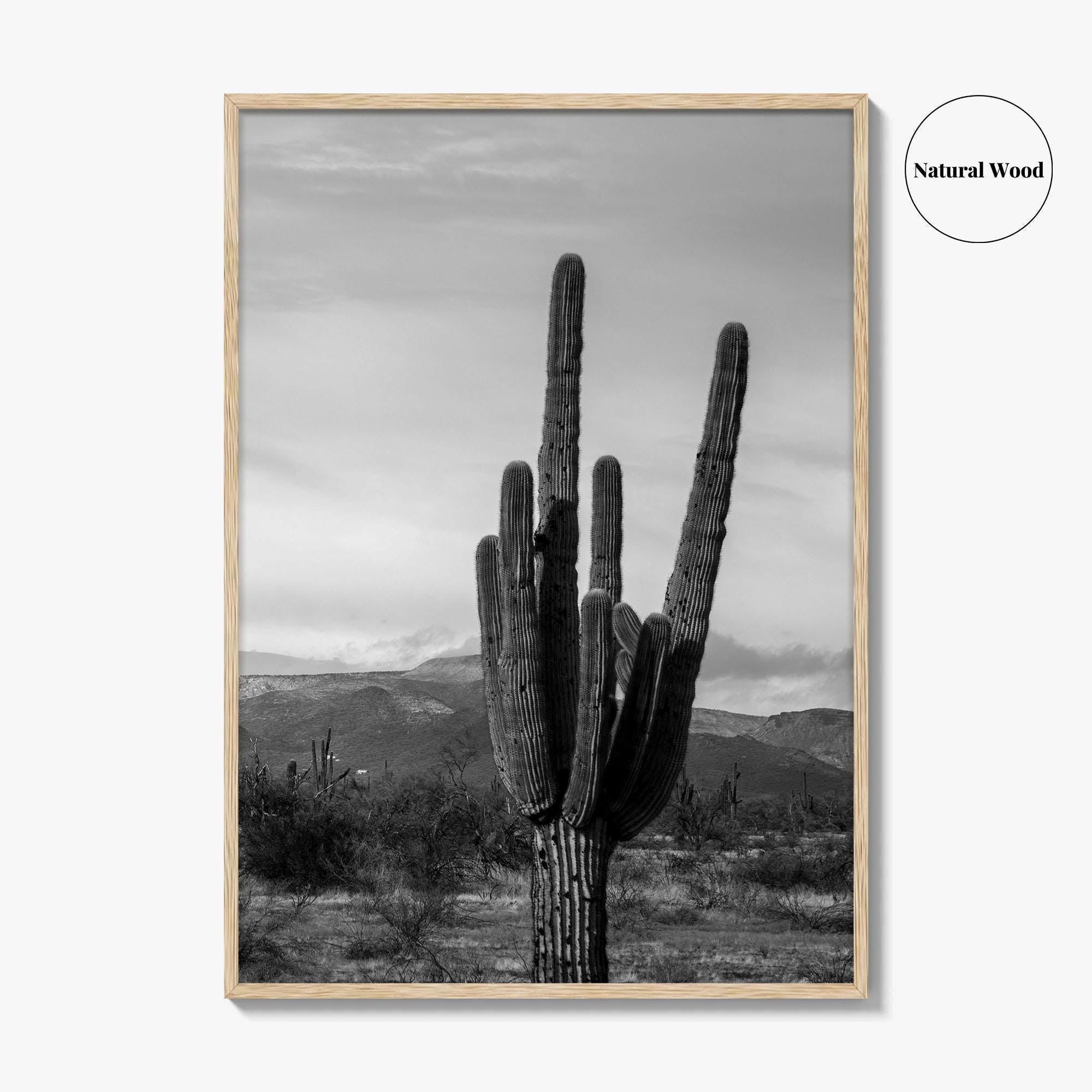 Phoenix Black and White Fine Art Photo Print, Arizona Saguaro Cactus Mountains, USA Poster