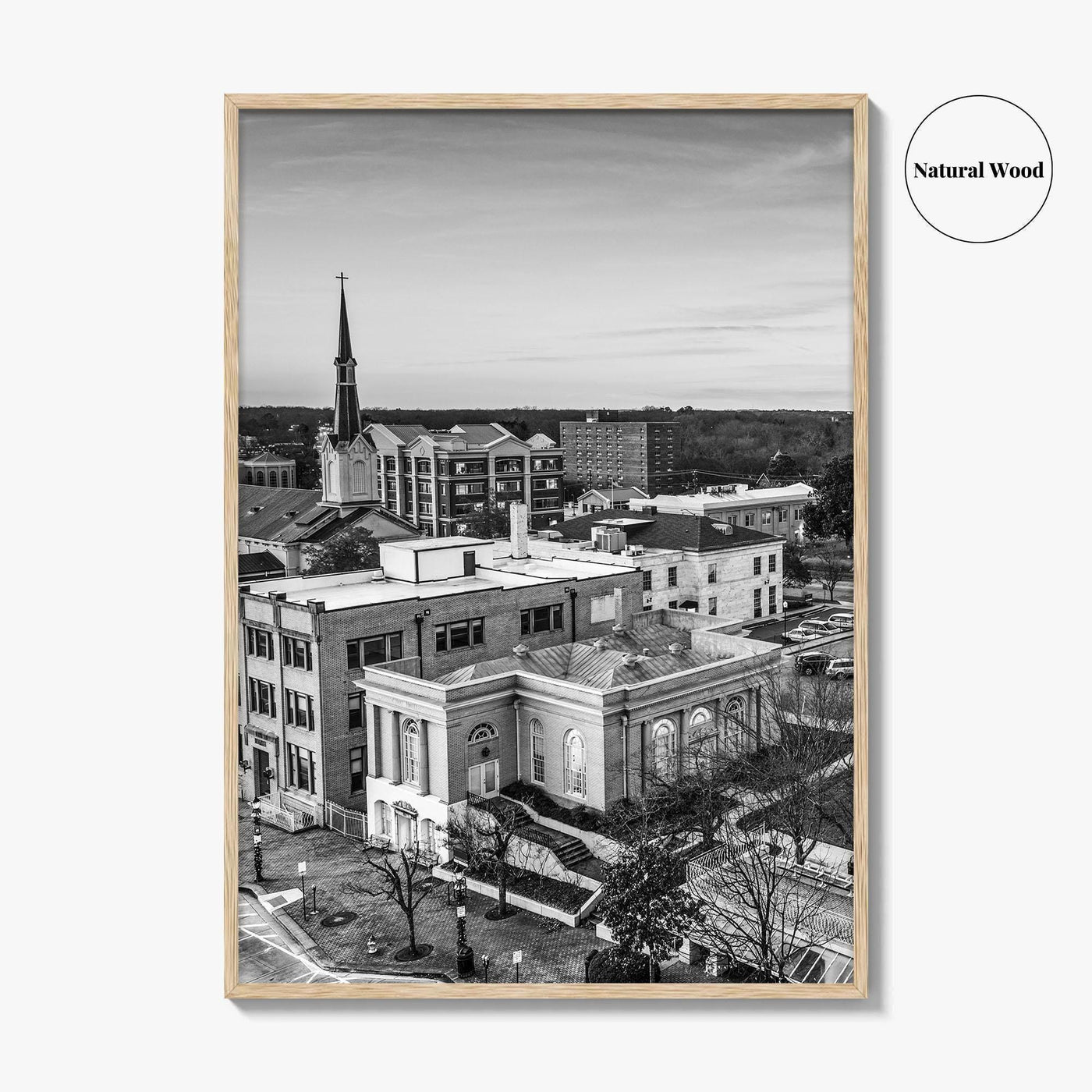 Athens Georgia Skyline Black and White Fine Art Photo Print, GA USA Poster