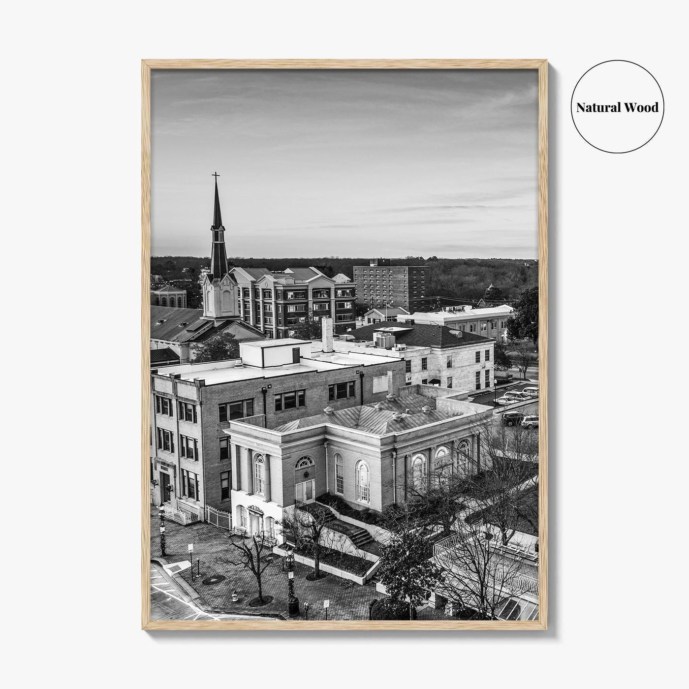 Athens Georgia Skyline Black and White Fine Art Photo Print, GA USA Poster