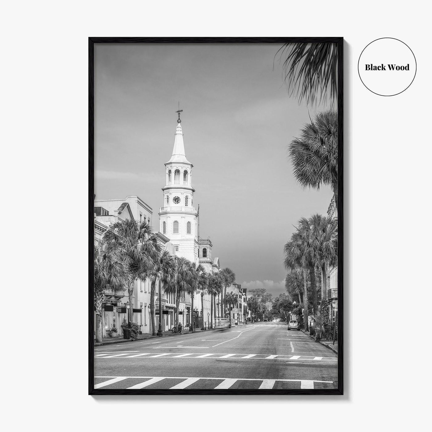 Charleston Black and White Fine Art Photo Print, SC Wall Poster, USA, French Quarter