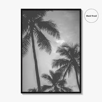 Hawaii Black and White Fine Art Photo Print, Palm Trees, Honolulu Oahu Art