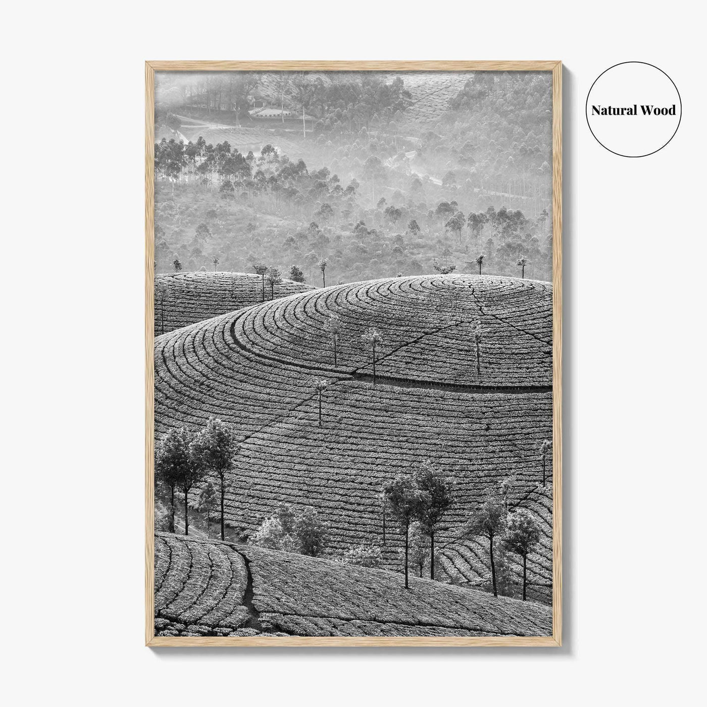 Munnar Black and White Fine Art Photo Print, Kerala India Tea Plantations Wall Poster