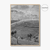 Munnar Black and White Fine Art Photo Print, Kerala India Tea Plantations Wall Poster