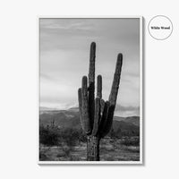 Phoenix Black and White Fine Art Photo Print, Arizona Saguaro Cactus Mountains, USA Poster