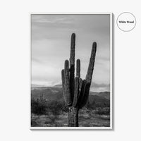 Phoenix Black and White Fine Art Photo Print, Arizona Saguaro Cactus Mountains, USA Poster