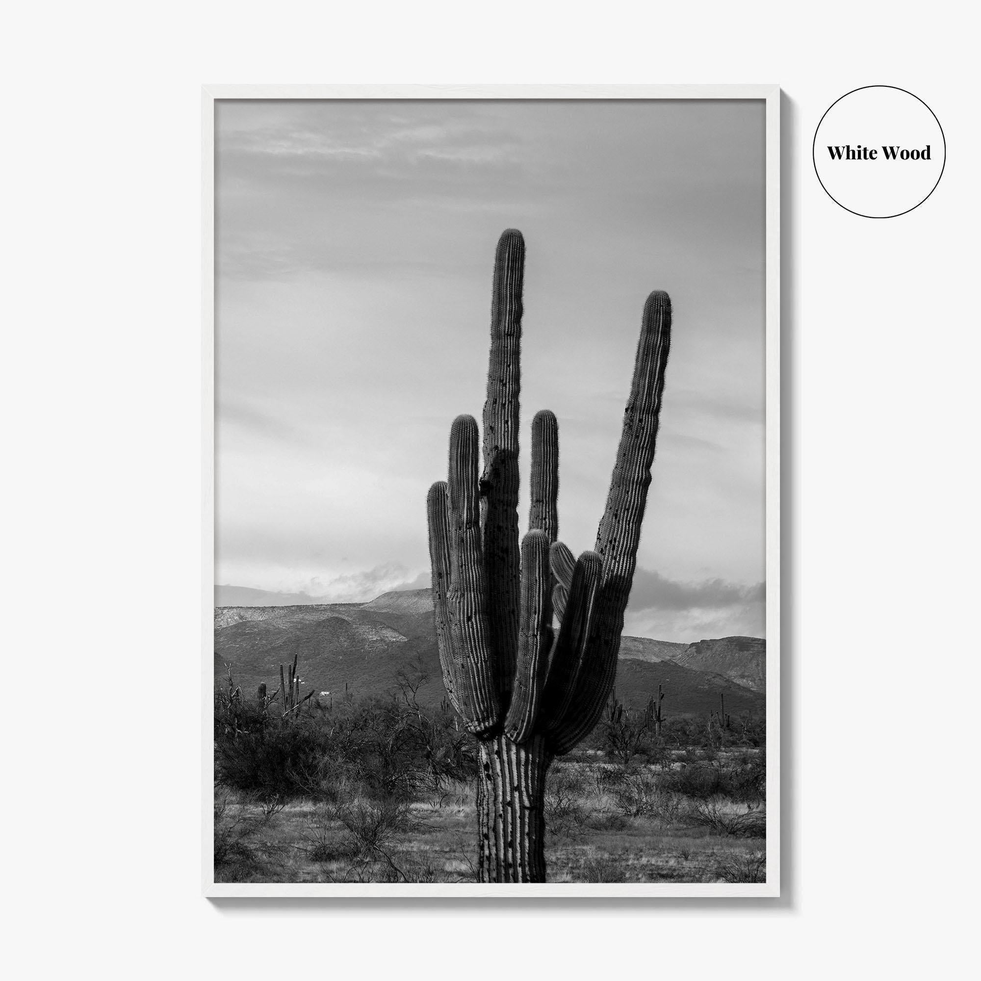 Phoenix Black and White Fine Art Photo Print, Arizona Saguaro Cactus Mountains, USA Poster