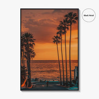 La Jolla Fine Art Photo Print, Windansea Beach, Palm Trees, San Diego California Poster