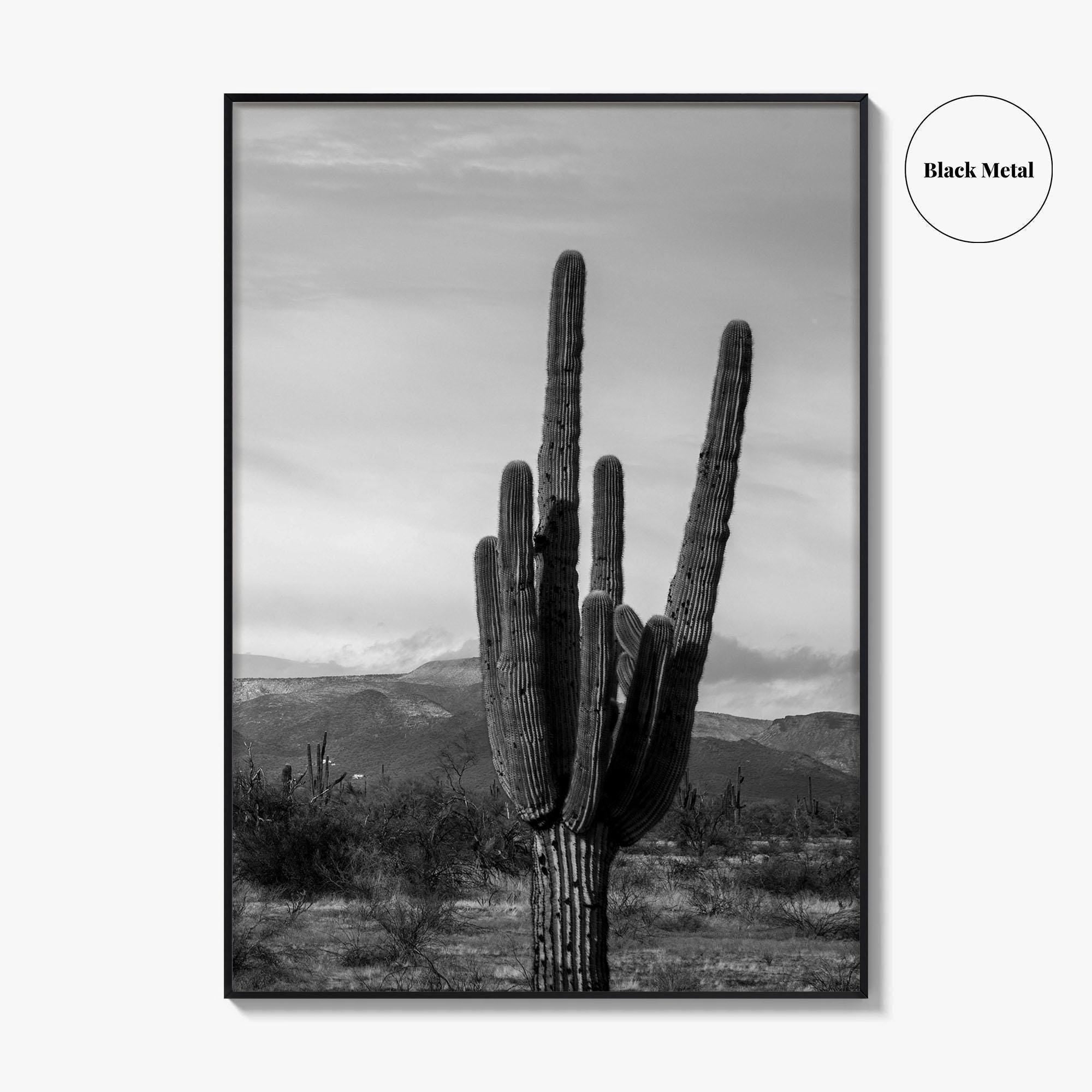 Phoenix Black and White Fine Art Photo Print, Arizona Saguaro Cactus Mountains, USA Poster