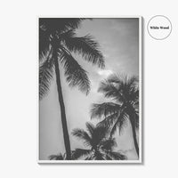 Hawaii Black and White Fine Art Photo Print, Palm Trees, Honolulu Oahu Art