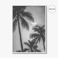 Hawaii Black and White Fine Art Photo Print, Palm Trees, Honolulu Oahu Art