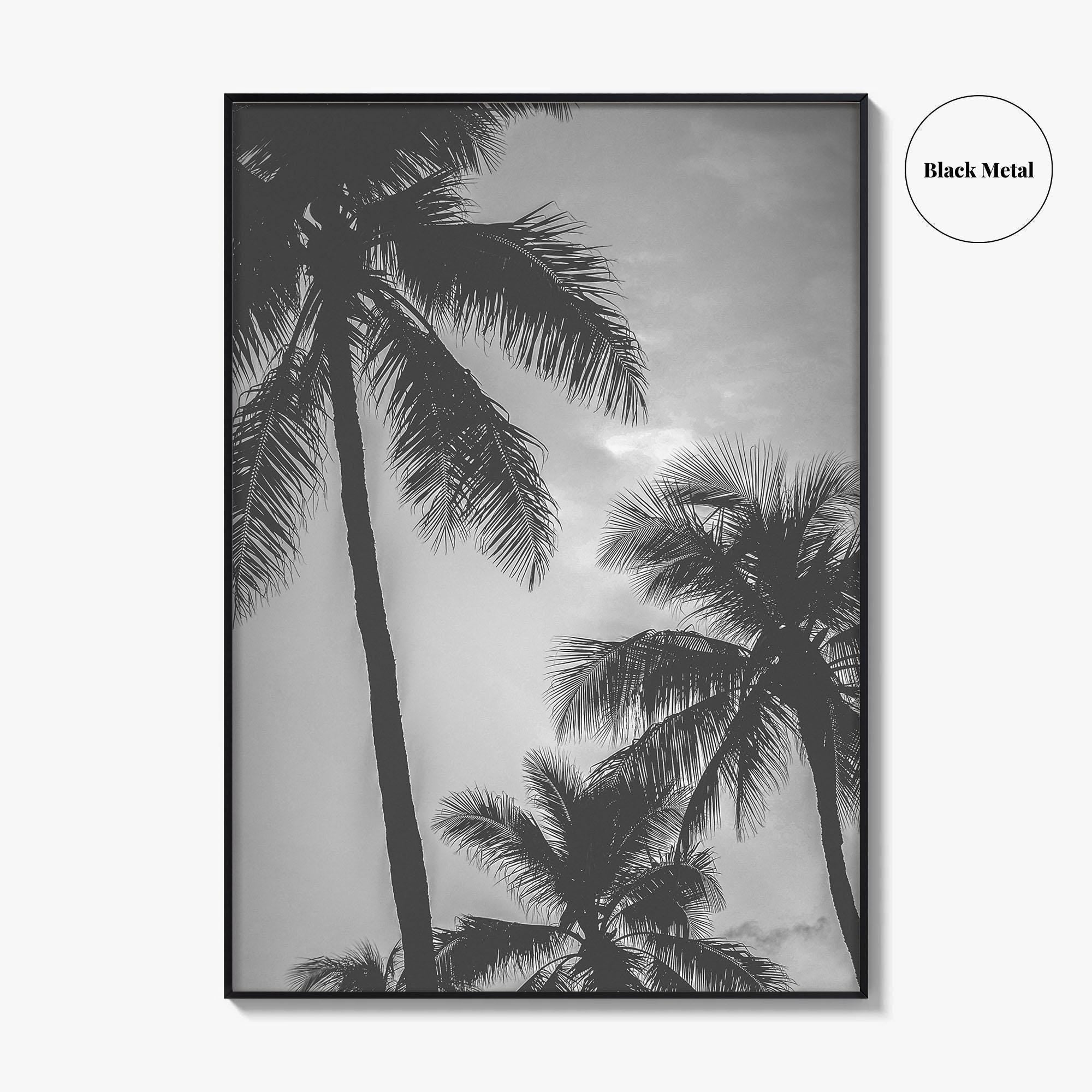 Hawaii Black and White Fine Art Photo Print, Palm Trees, Honolulu Oahu Art