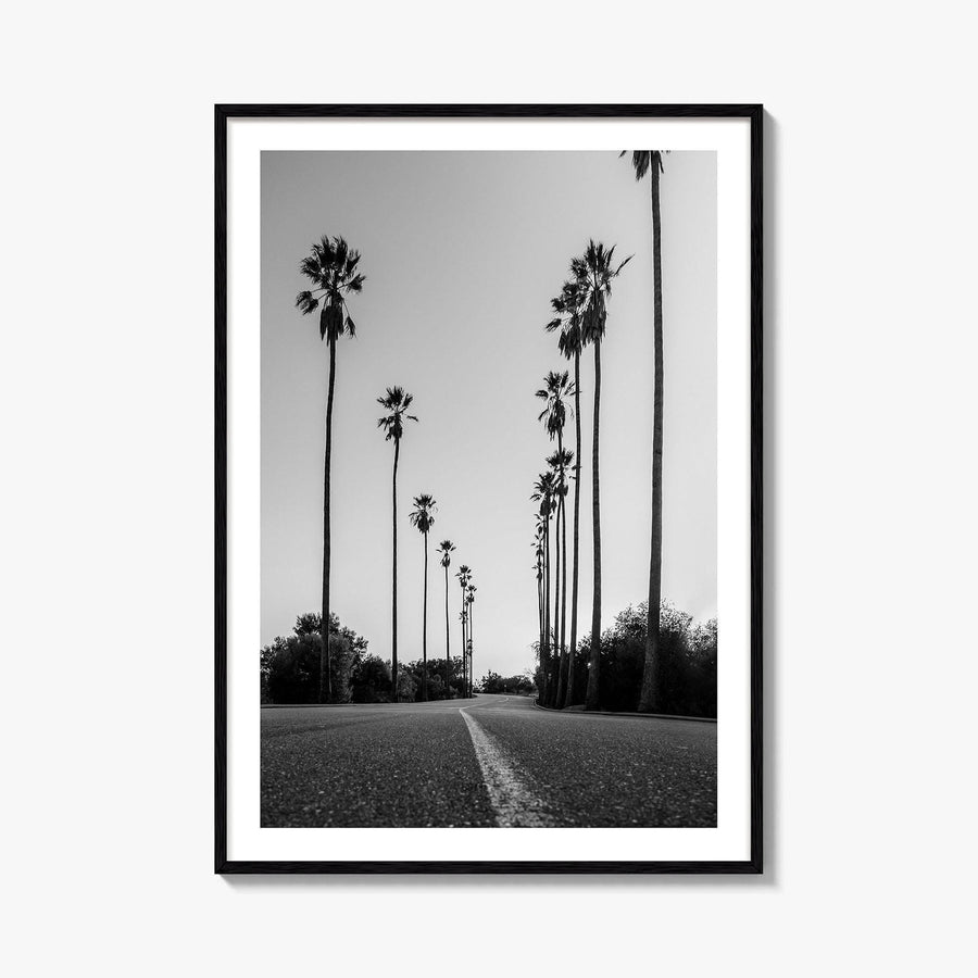 Elysian Park Black and White Fine Art Photo Print, Los Angeles California Poster