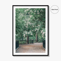 Tompkins Square Park Fine Art Photo Print, East Village NYC, Manhattan Poster, USA