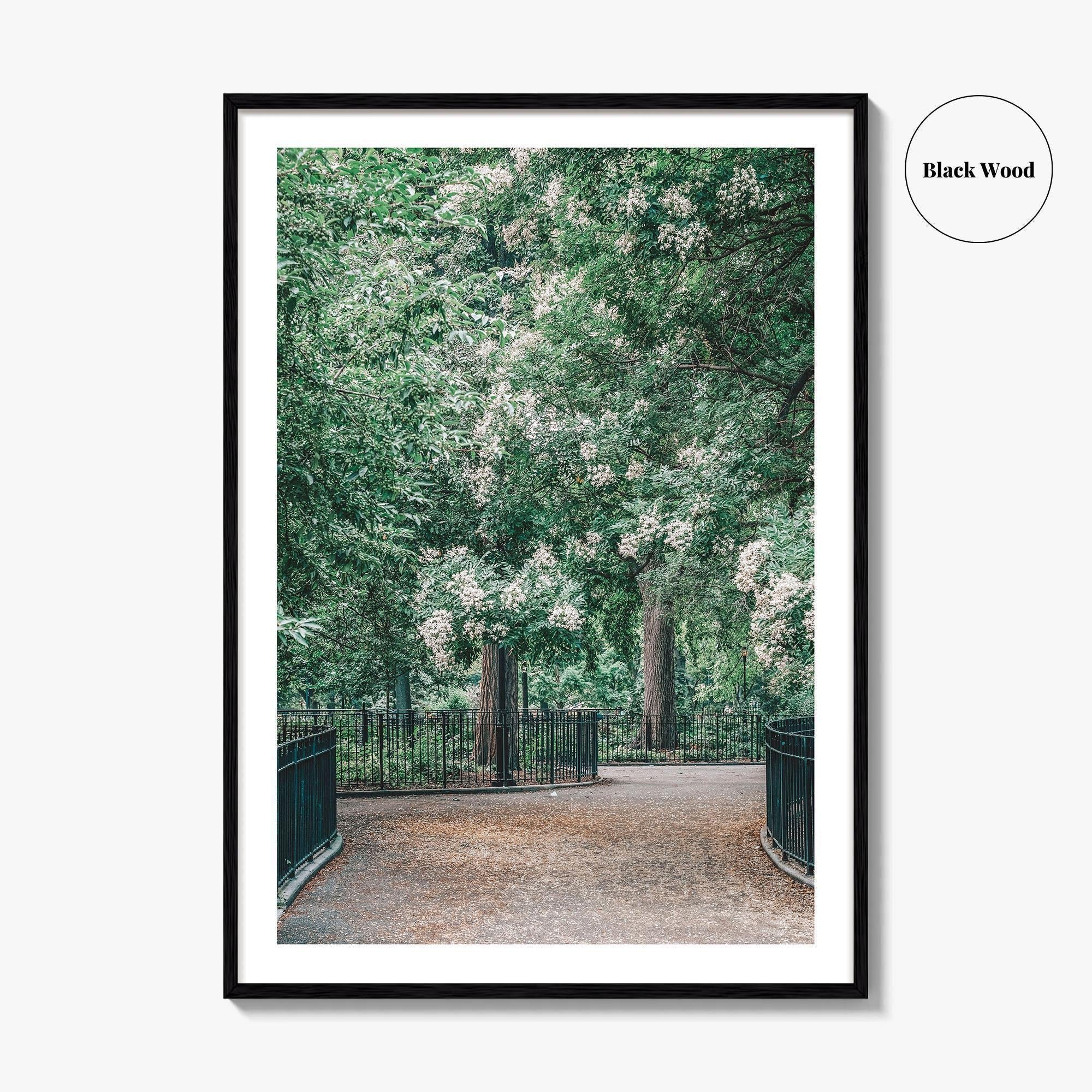 Tompkins Square Park Fine Art Photo Print, East Village NYC, Manhattan Poster, USA