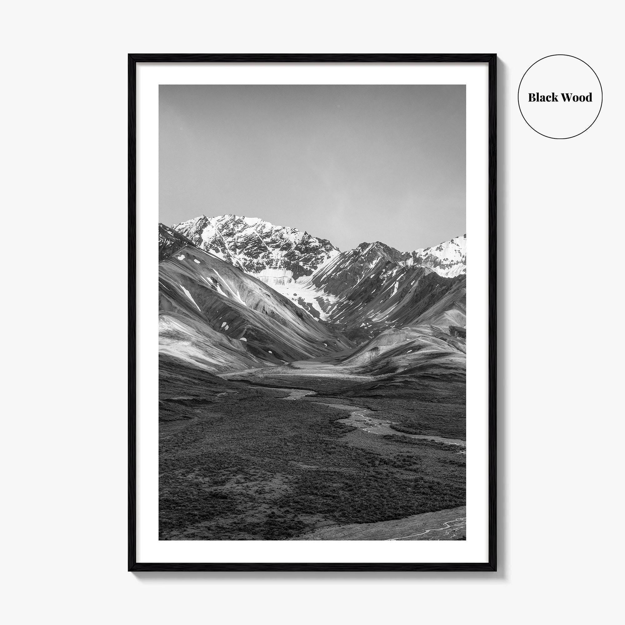 Denali National Park Black and White Fine Art Photo Print, Alaska, USA Poster