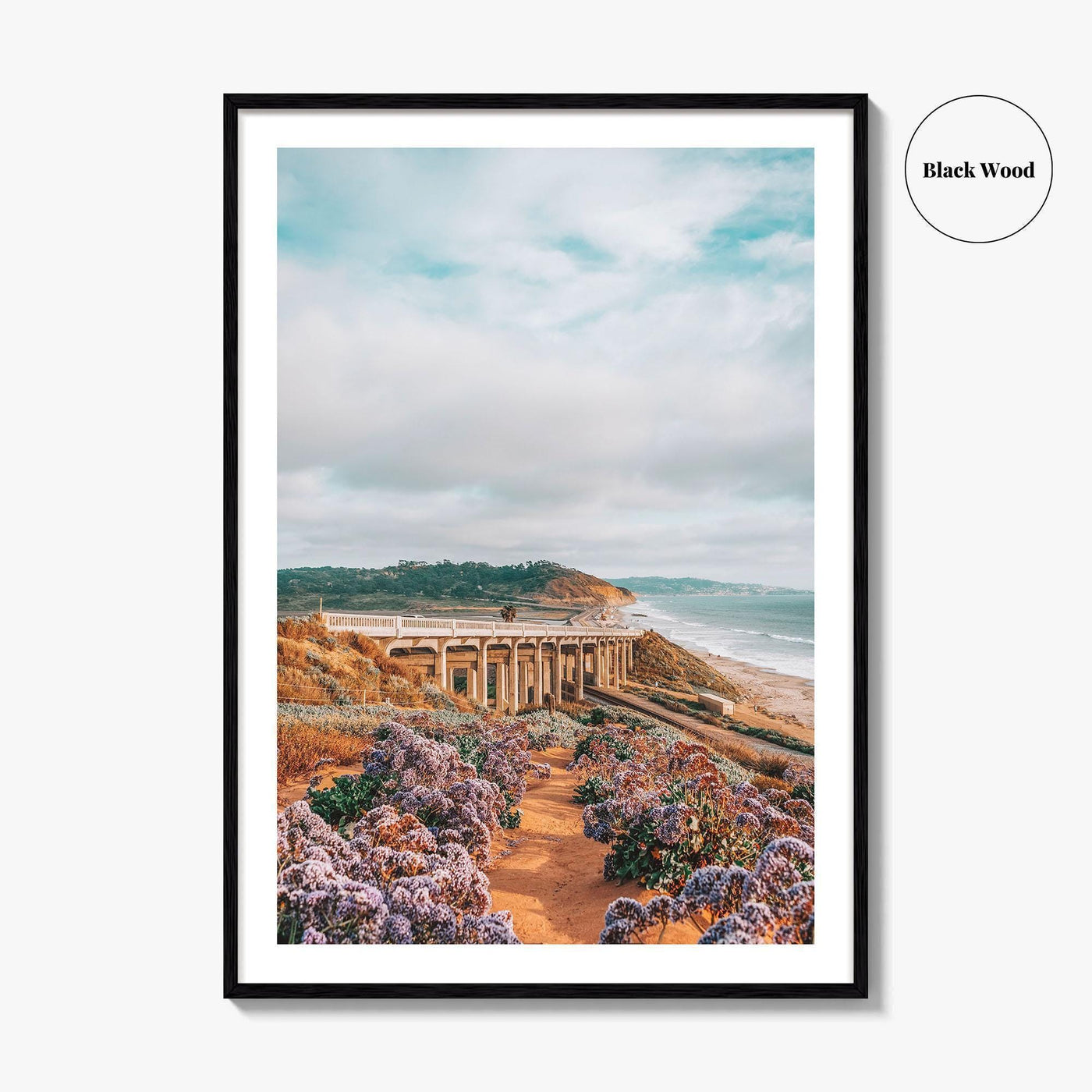 Torrey Pines Fine Art Photo Print, Del Mar, San Diego, California, Pacific Ocean Poster