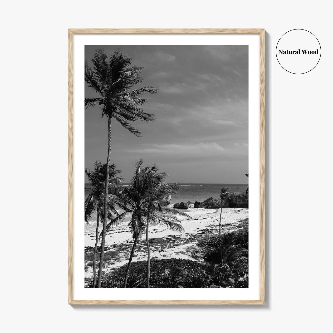 Barbados Black and White Fine Art Photo Print, Caribbean Beach Landscape Poster