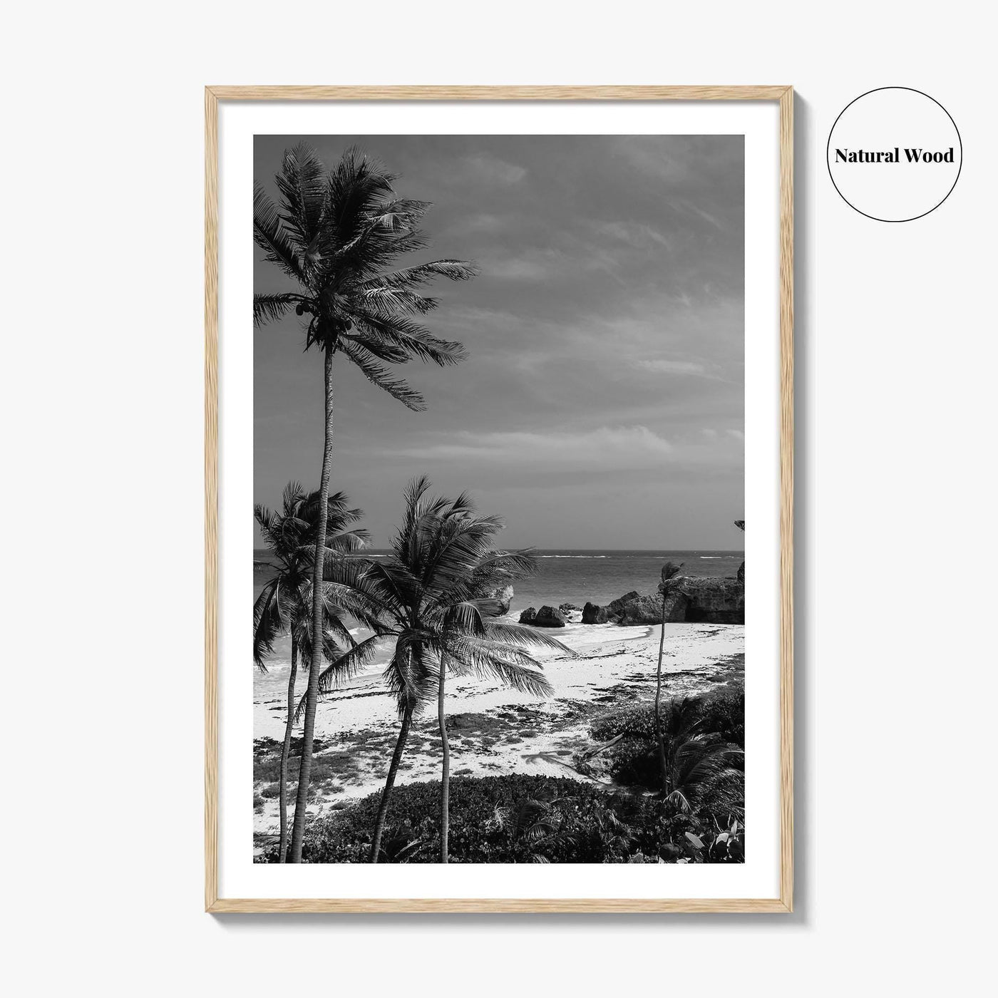 Barbados Black and White Fine Art Photo Print, Caribbean Beach Landscape Poster