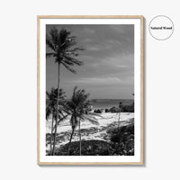 Barbados Black and White Fine Art Photo Print, Caribbean Beach Landscape Poster