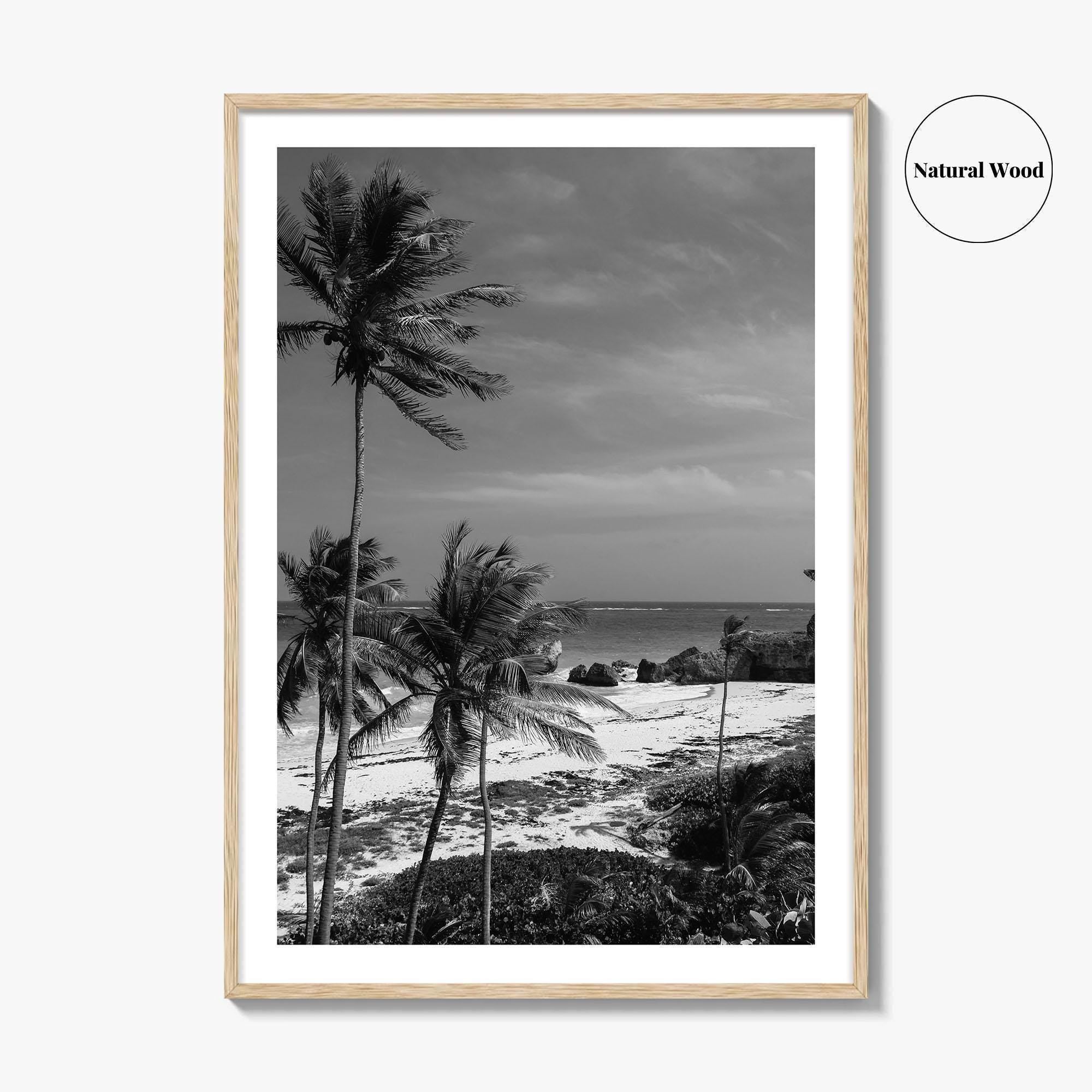 Barbados Black and White Fine Art Photo Print, Caribbean Beach Landscape Poster