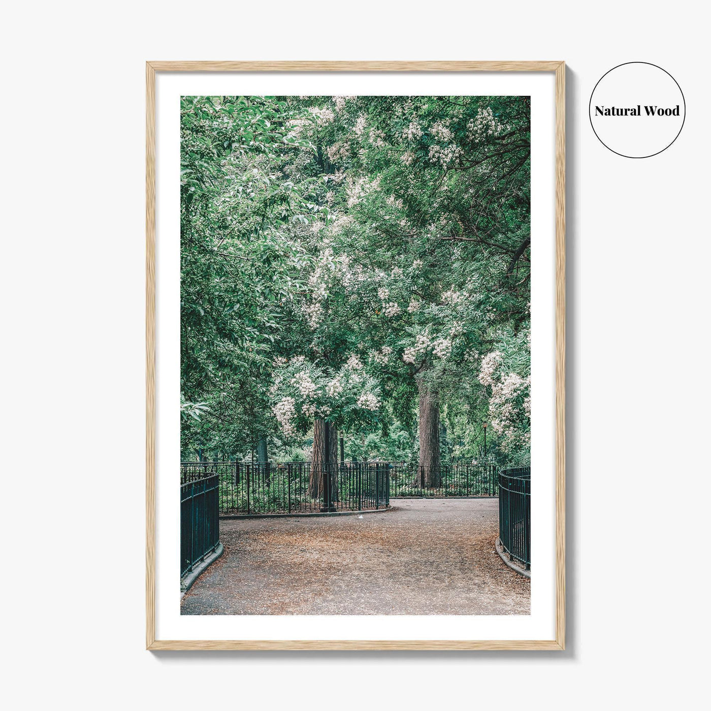 Tompkins Square Park Fine Art Photo Print, East Village NYC, Manhattan Poster, USA