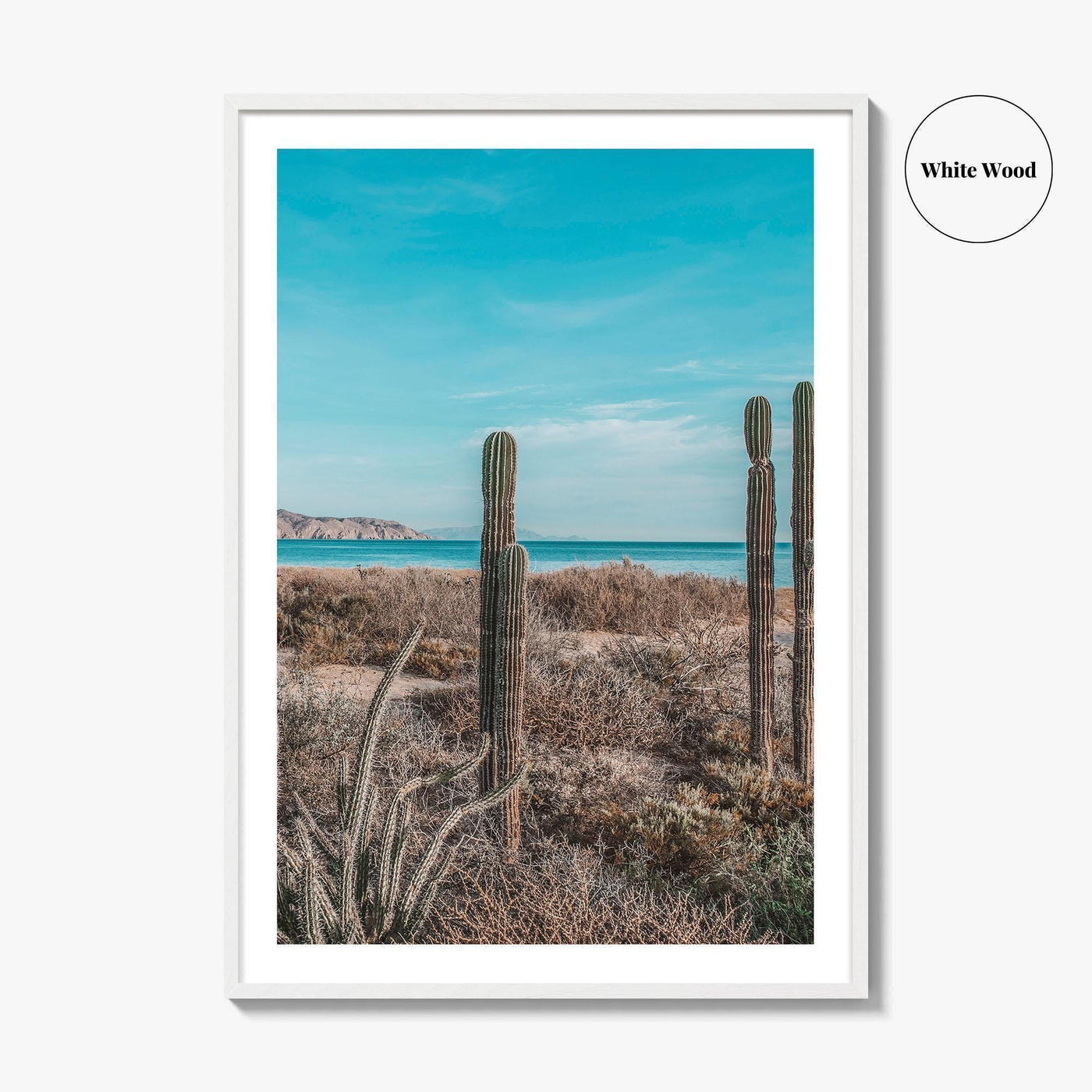 La Paz Fine Art Photo Print, Baja California Sur, Sea of Cortez Mexico Poster