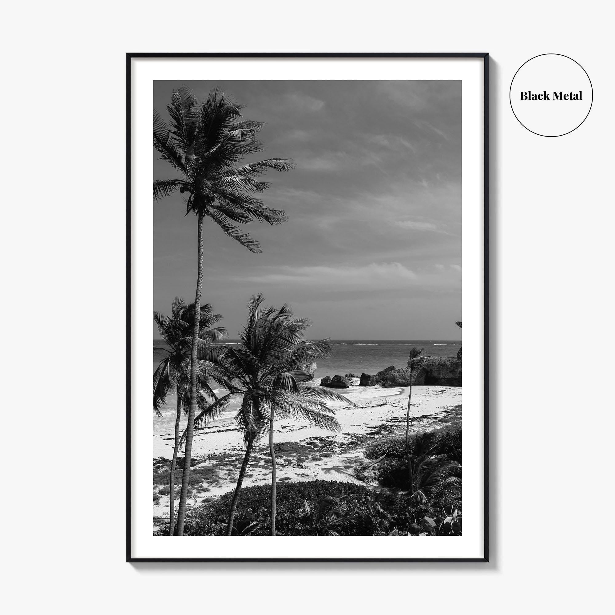 Barbados Black and White Fine Art Photo Print, Caribbean Beach Landscape Poster