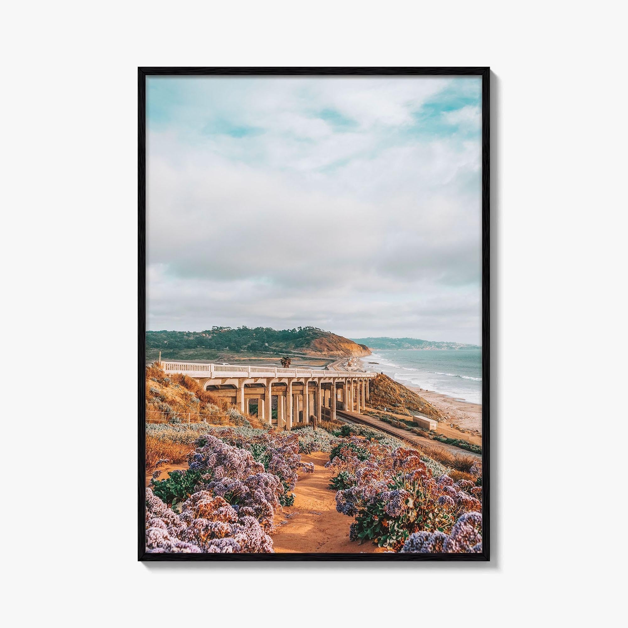 Torrey Pines Fine Art Photo Print, Del Mar, San Diego, California, Pacific Ocean Poster