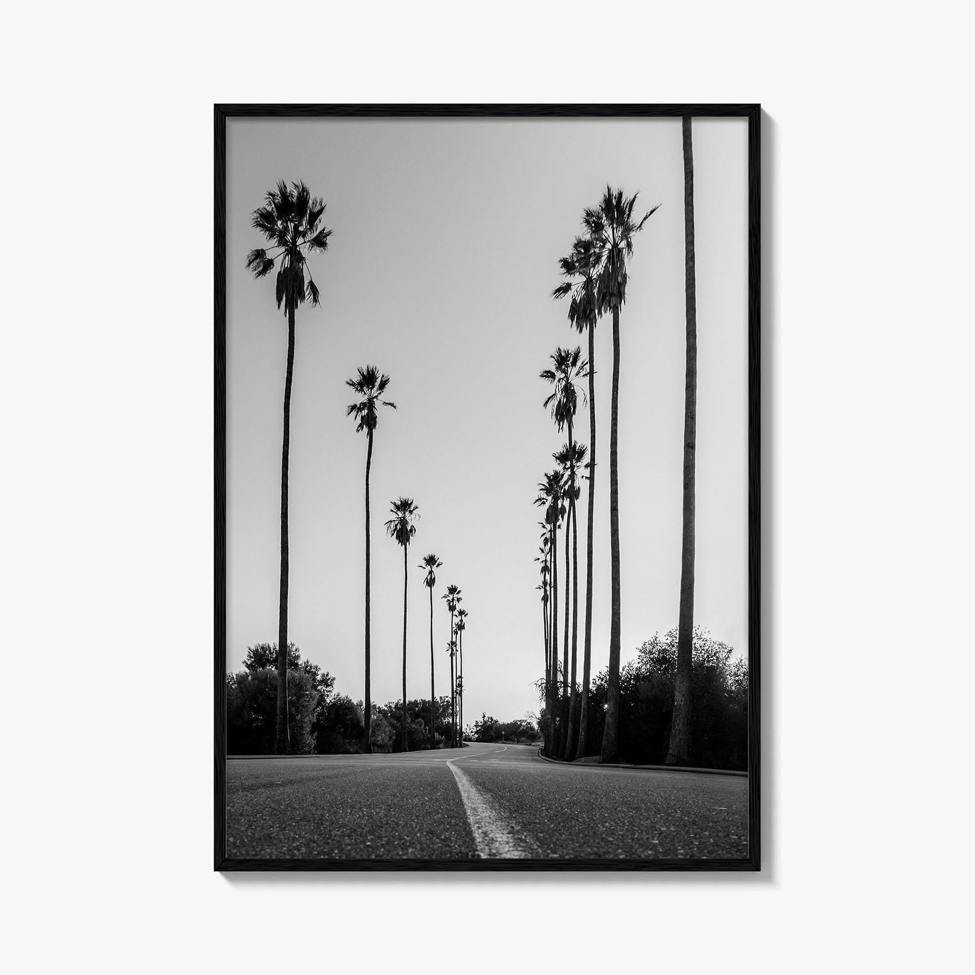 Elysian Park Black and White Fine Art Photo Print, Los Angeles California Poster