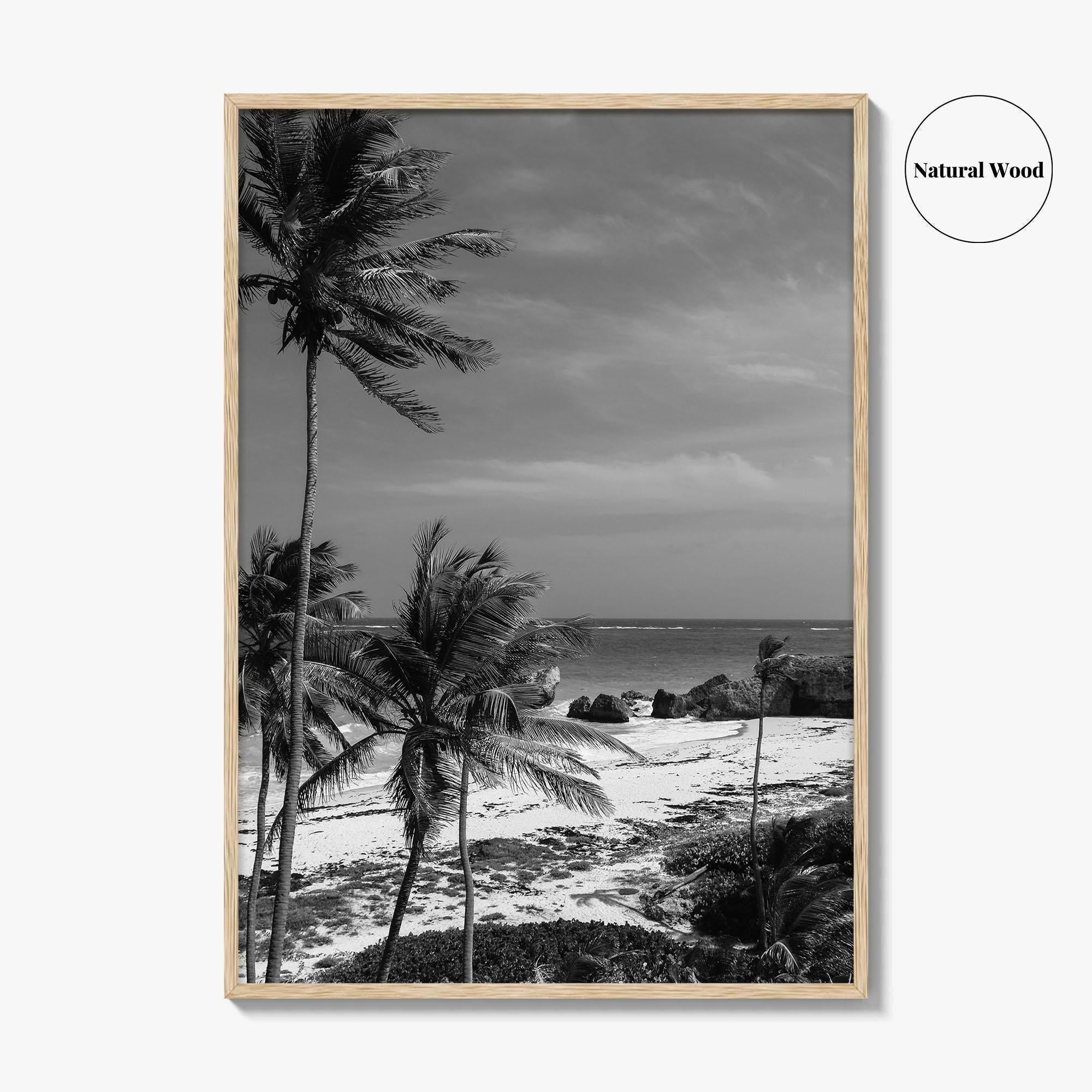 Barbados Black and White Fine Art Photo Print, Caribbean Beach Landscape Poster