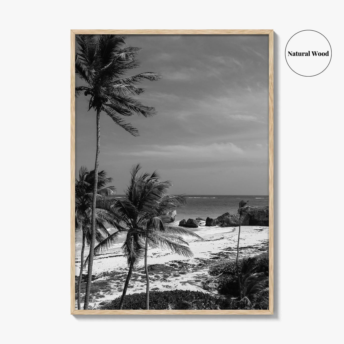 Barbados Black and White Fine Art Photo Print, Caribbean Beach Landscape Poster