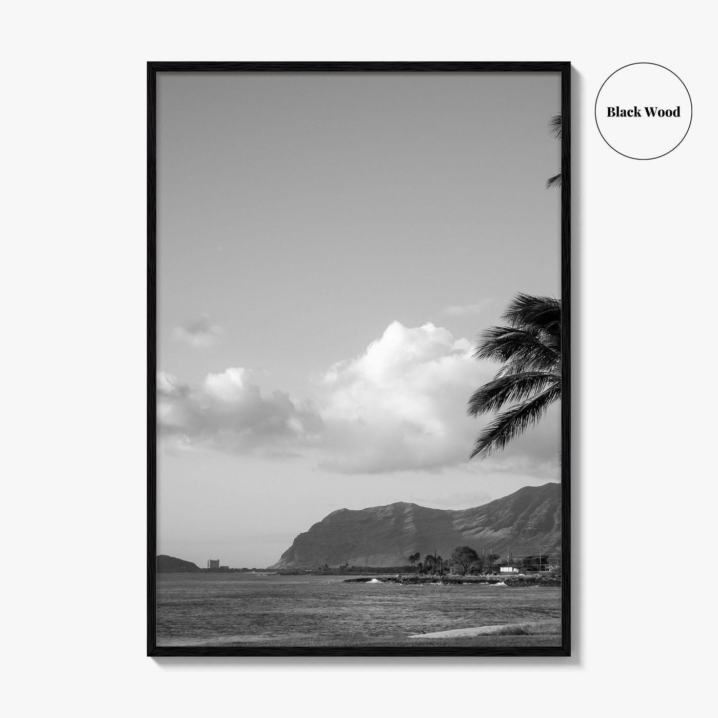 Oahu Black and White Fine Art Photo Print, Hawaii Coast Palm Trees, Wall Poster