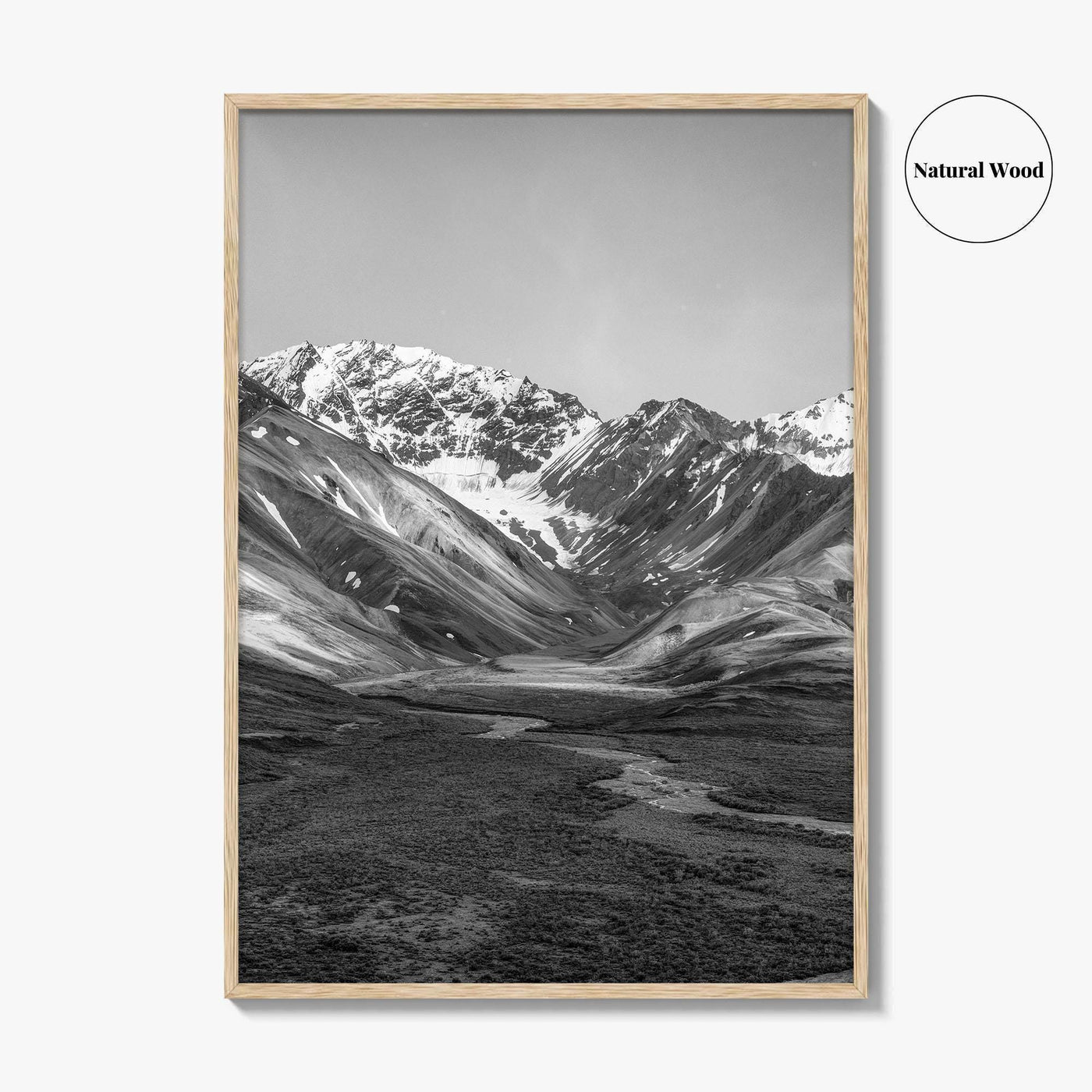 Denali National Park Black and White Fine Art Photo Print, Alaska, USA Poster