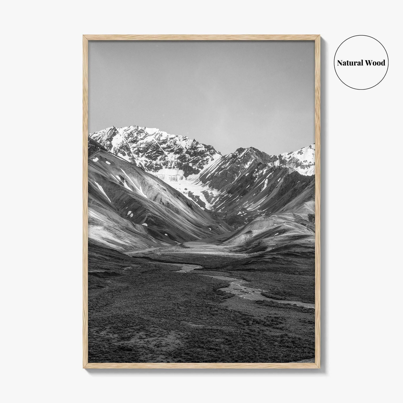 Denali National Park Black and White Fine Art Photo Print, Alaska, USA Poster