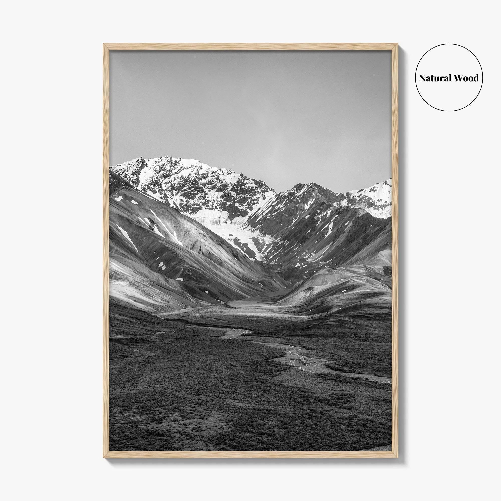 Denali National Park Black and White Fine Art Photo Print, Alaska, USA Poster