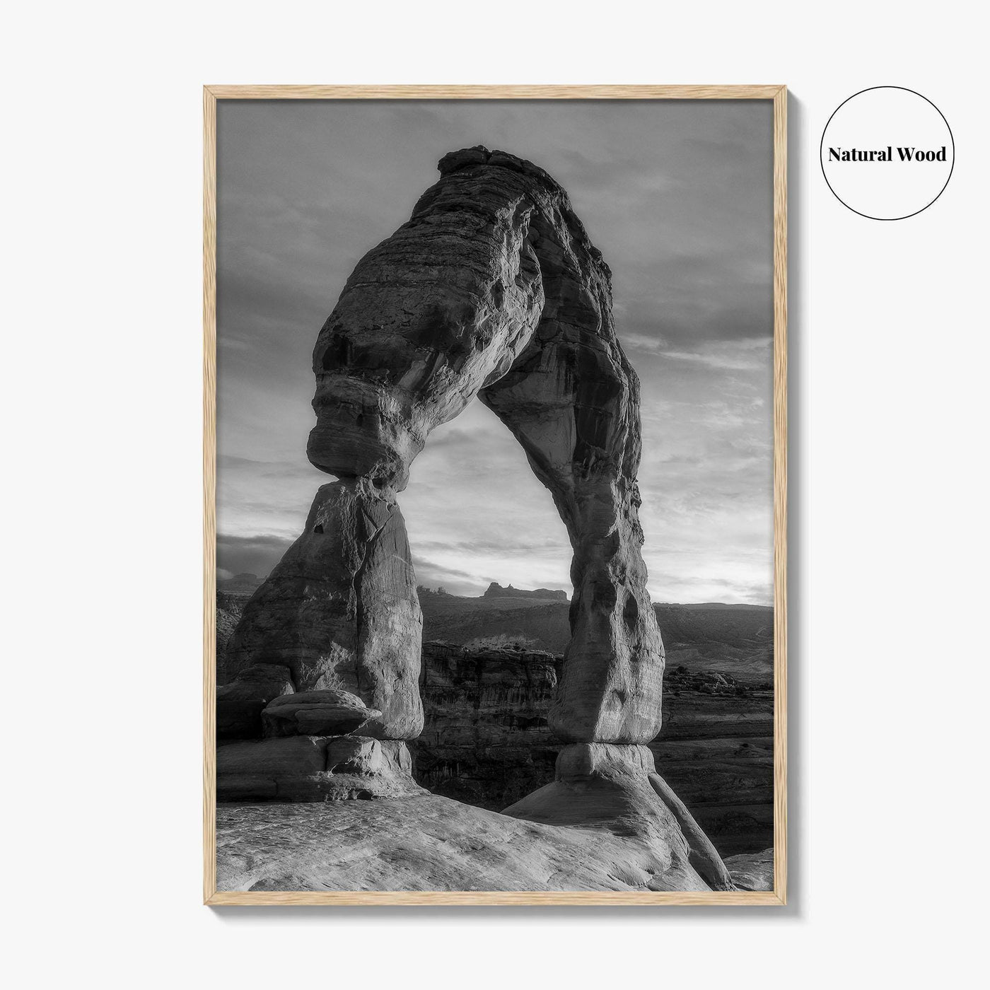 Delicate Arch Black and White Fine Art Photo Print, Arches National Park, Wall Poster