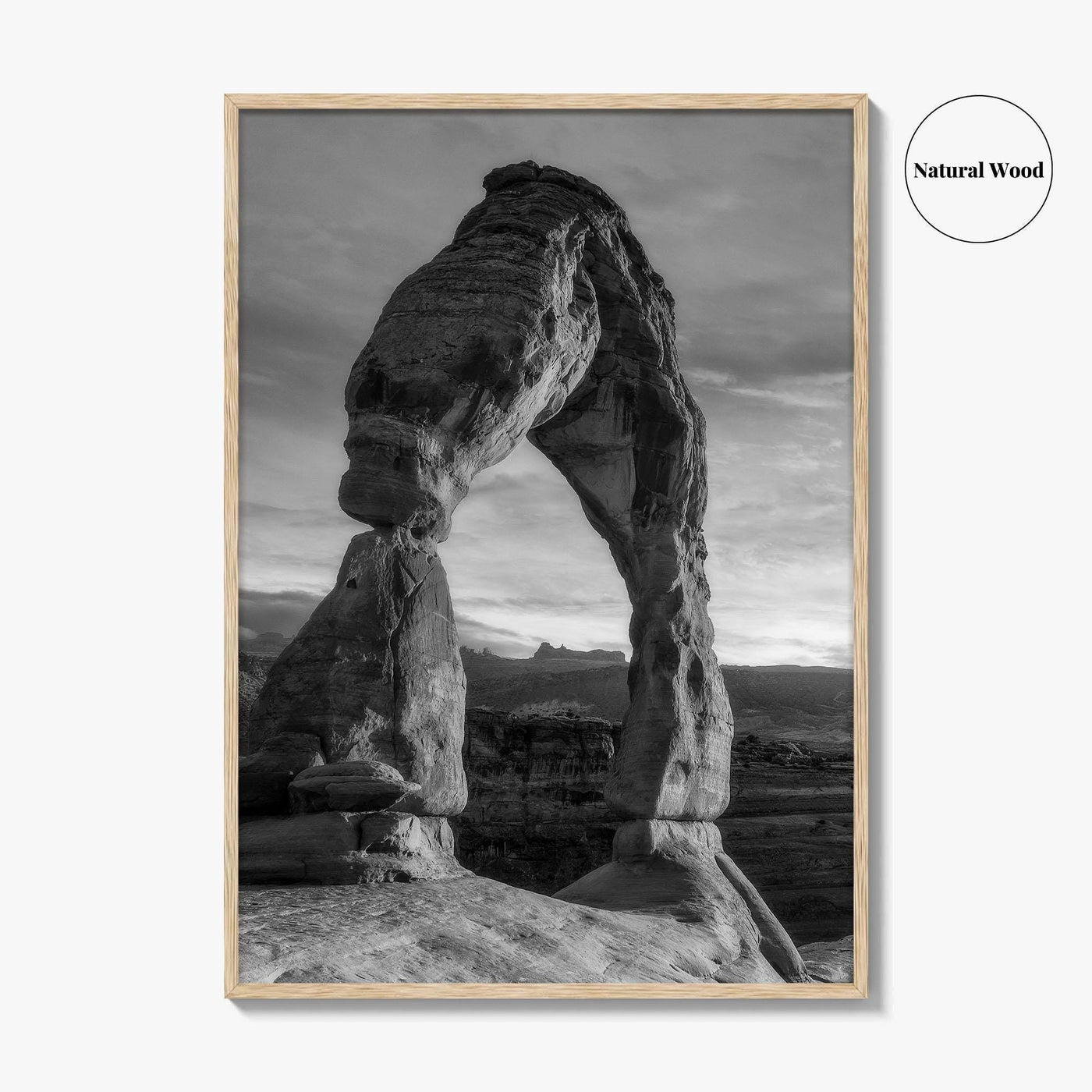 Delicate Arch Black and White Fine Art Photo Print, Arches National Park, Wall Poster