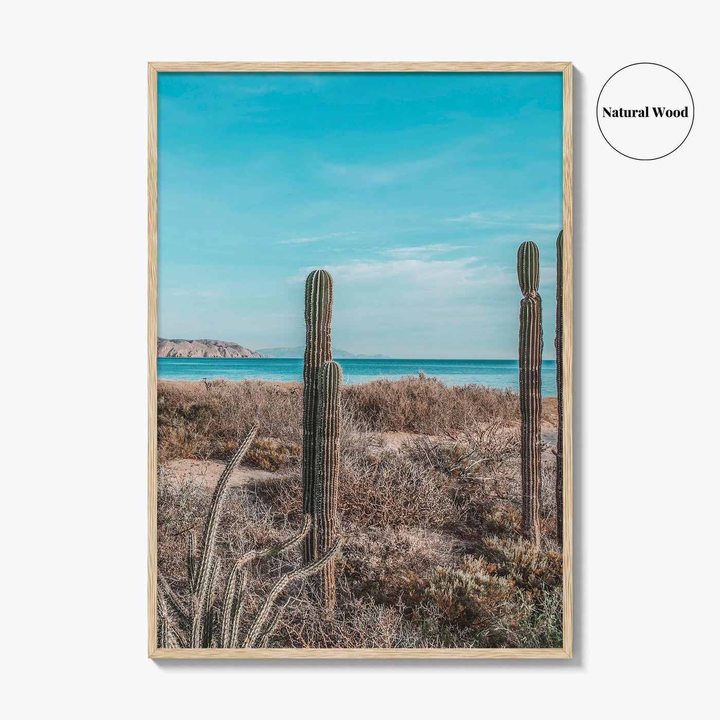 La Paz Fine Art Photo Print, Baja California Sur, Sea of Cortez Mexico Poster