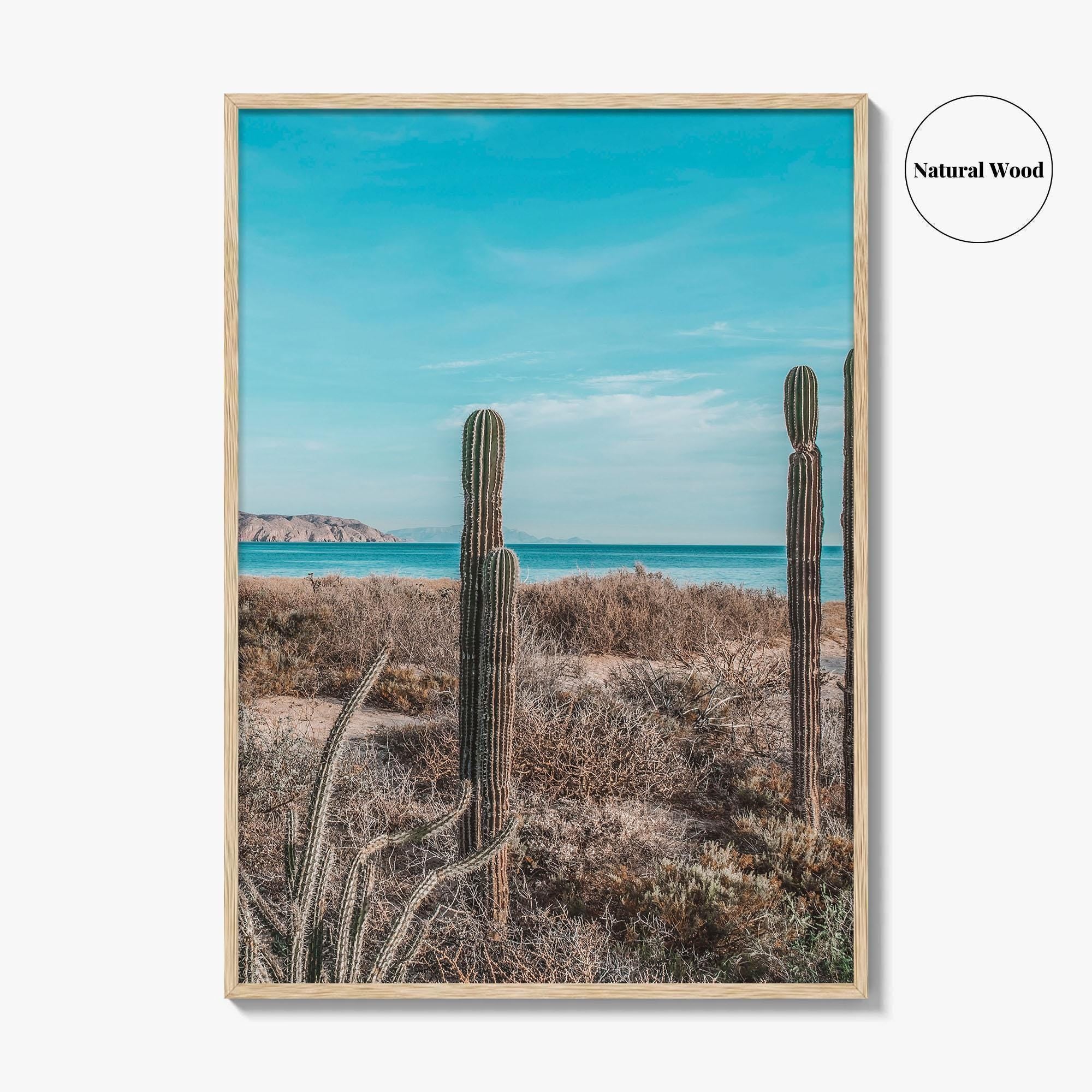 La Paz Fine Art Photo Print, Baja California Sur, Sea of Cortez Mexico Poster