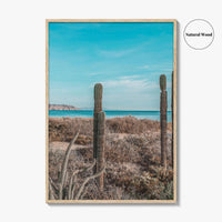 La Paz Fine Art Photo Print, Baja California Sur, Sea of Cortez Mexico Poster