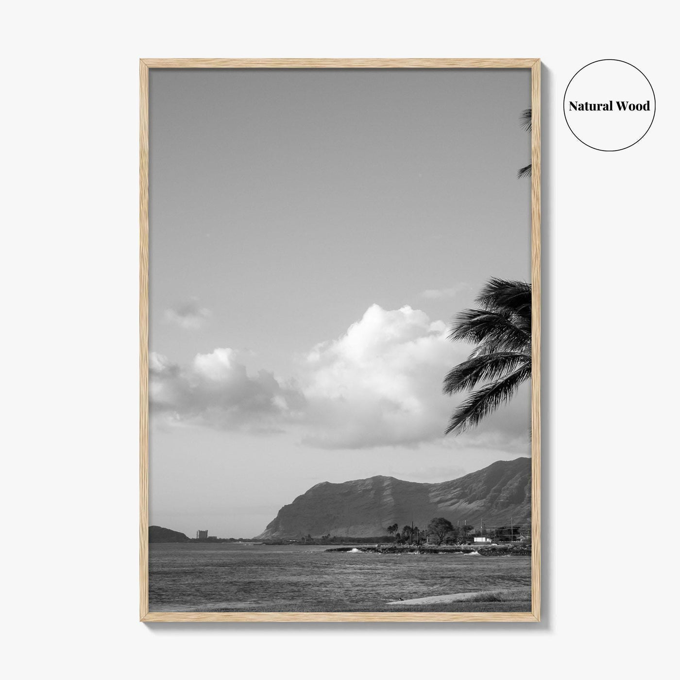 Oahu Black and White Fine Art Photo Print, Hawaii Coast Palm Trees, Wall Poster
